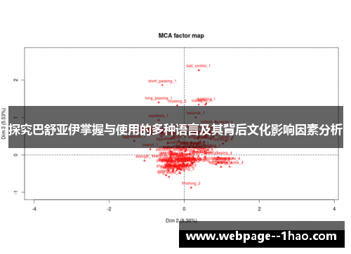 探究巴舒亚伊掌握与使用的多种语言及其背后文化影响因素分析