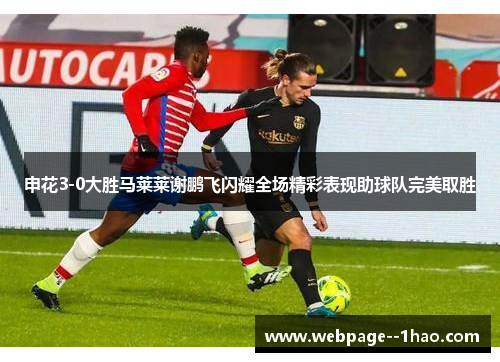 申花3-0大胜马莱莱谢鹏飞闪耀全场精彩表现助球队完美取胜 申花3-0大胜马莱莱谢鹏飞闪耀全场精彩表现助球队完美取胜